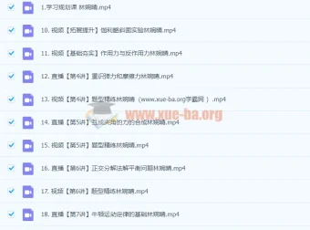 2024高一暑假林婉晴高中物理课程