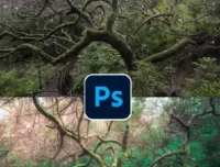 TDn老师PS高级后期设计进阶课程