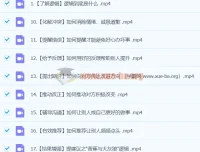 朱老丝：让说话有逻辑（完结22集）