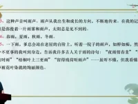 北鱼学堂·张兴东批读课：20篇经典精讲与实战训练