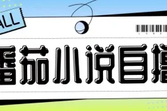 番茄小说自撸玩法课程：无需手机双清，低成本高收益
