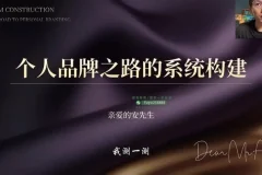 安先生3天短视频变现集训课