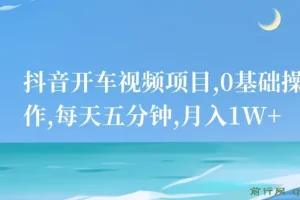 抖音开车视频项目：0基础操作，每日五分钟，月入1W+