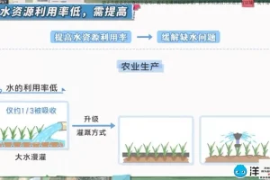 洋葱学园小学地球动画课程（1 – 6 年级通用）