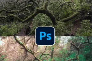 TDn老师PS高级后期设计进阶课程