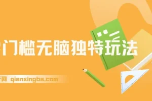 零门槛电商项目：独特玩法轻松日入300+，高复购矩阵无上限