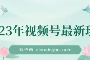 美食类视频号带货项目介绍