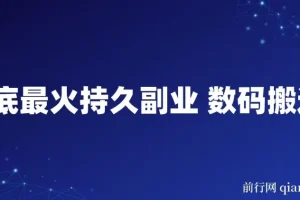 年底超火持久副业：数码搬运，靠一句话开启变现之路