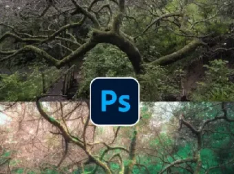 TDn老师PS高级后期设计进阶课程