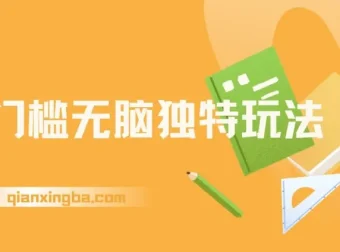 零门槛电商项目：独特玩法轻松日入300+，高复购矩阵无上限