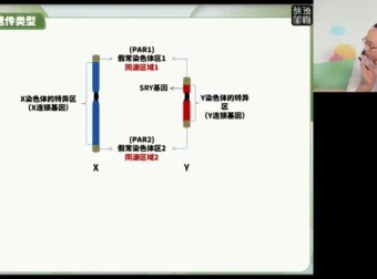 2024高三生物押题班：徐京精讲
