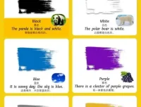 儿童英语启蒙零基础单词卡全集