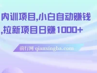 内训项目：小白自动赚钱之拉新项目