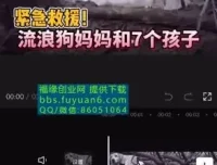 中视频计划：冷门蓝海项目实操指南，实现收益倍增