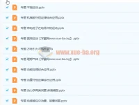 物理二轮专题复习课件