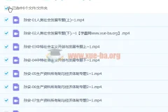 孙安2023高三高考政治第三阶段课程