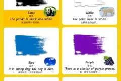 儿童英语启蒙零基础单词卡全集