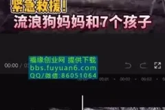 中视频计划：冷门蓝海项目实操指南，实现收益倍增