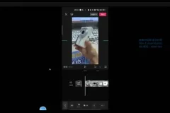 闲鱼电商实操指南：运用价格差策略提升流量