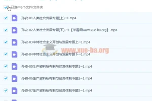 孙安2023高三高考政治第三阶段课程