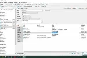 Go语言微服务实战：乐尚代驾项目开发