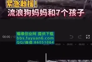 中视频计划：冷门蓝海项目实操指南，实现收益倍增