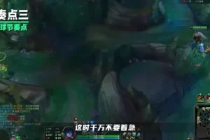 兰斯Rance《英雄联盟》全英雄全位置攻略：上单、打野、中单、辅助通关秘籍