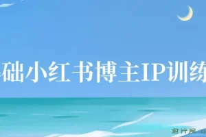 0基础小红书博主IP特训营：37天从小白到KOL