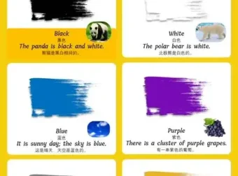 儿童英语启蒙零基础单词卡全集