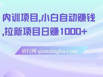 内训项目：小白自动赚钱之拉新项目