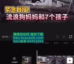 中视频计划：冷门蓝海项目实操指南，实现收益倍增