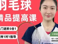 羽毛球3合1精品提高课