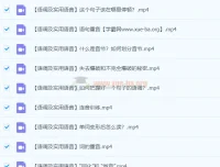 赖世雄美式发音学习课38讲