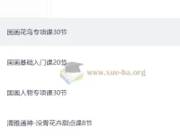 国画视频教程：涵盖花鸟、基础、人物及没骨花卉课程