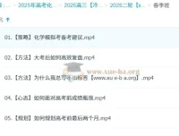 2025高三高考化学课程：冷士强带你全季提升