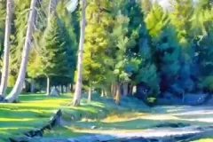 AI漫画视频制作教程：助小白快速涨粉与变现