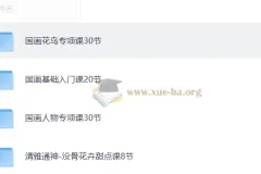 国画视频教程：涵盖花鸟、基础、人物及没骨花卉课程