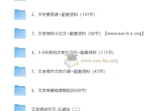 文老师语文课程合集：涵盖学习方法、基础知识、小古文、文学素养、阅读与作文等内容