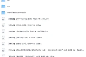 热门付费小说300本合集