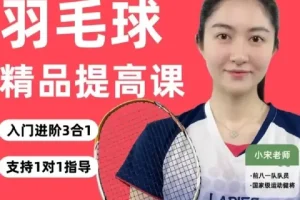 羽毛球3合1精品提高课