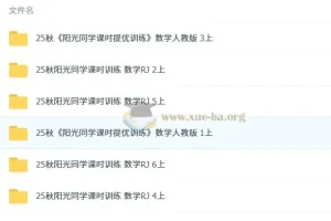 阳光同学小学数学人教1 – 6年级上册课时训练