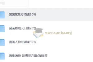 国画视频教程：涵盖花鸟、基础、人物及没骨花卉课程