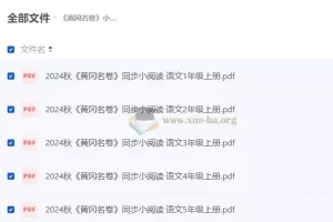 黄冈名卷 2024 年秋小学语文同步小阅读