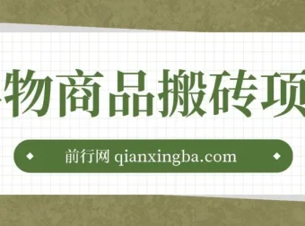 得物商品搬砖项目：闷声赚利润，一单 30-500+