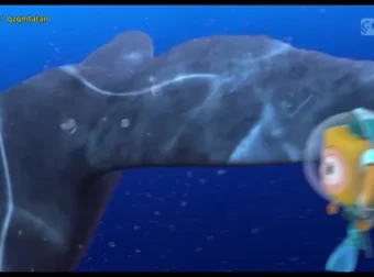 斑马百科：极地动物世界探秘