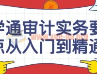 审计实务要点从入门到精通课程