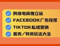 Aron老师跨境电商独立站及全域流量营销课程