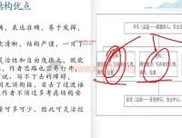楠老师中考作文提分训练营
