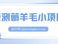 亲测看广告得红包薅羊毛小项目，2毛/个广告，无门槛提现！日赚50+