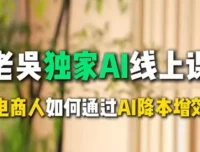 天诺老吴AI课：电商企业借助DeepSeek实现降本增效